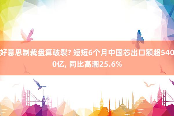 好意思制裁盘算破裂? 短短6个月中国芯出口额超5400亿, 同比高潮25.6%