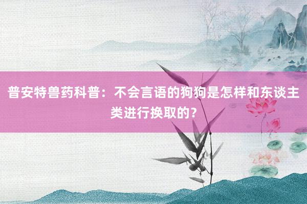 普安特兽药科普：不会言语的狗狗是怎样和东谈主类进行换取的？