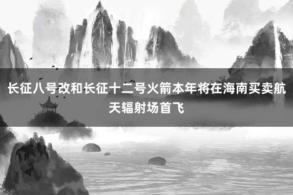 长征八号改和长征十二号火箭本年将在海南买卖航天辐射场首飞