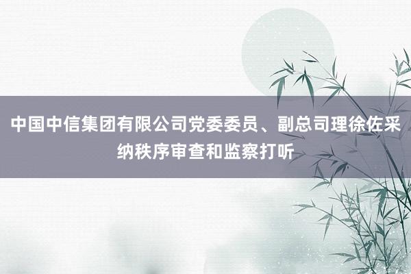 中国中信集团有限公司党委委员、副总司理徐佐采纳秩序审查和监察打听