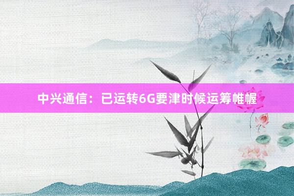 中兴通信：已运转6G要津时候运筹帷幄