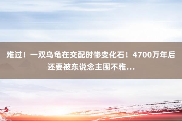 难过！一双乌龟在交配时惨变化石！4700万年后还要被东说念主围不雅…