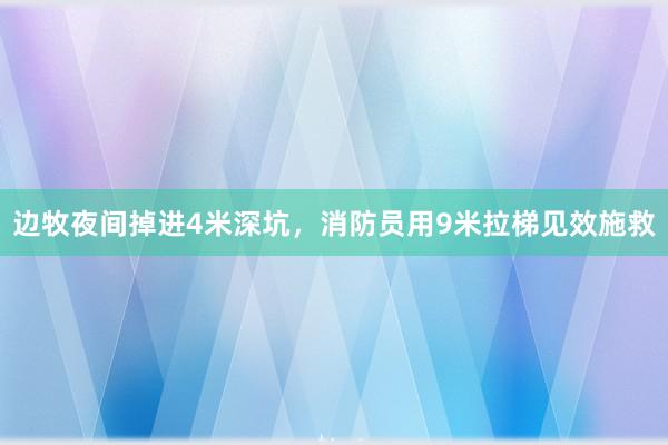 边牧夜间掉进4米深坑，消防员用9米拉梯见效施救