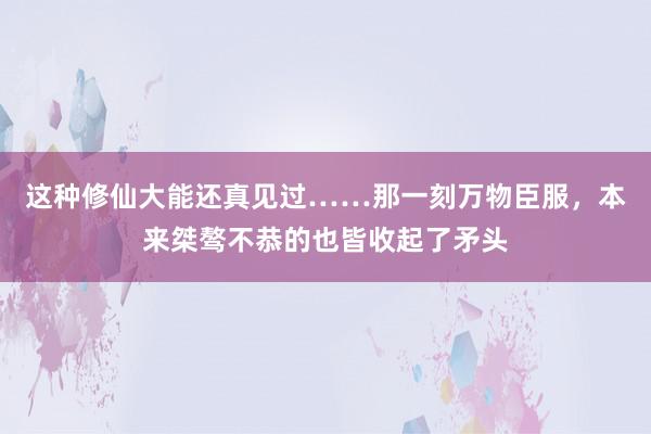 这种修仙大能还真见过……那一刻万物臣服，本来桀骜不恭的也皆收起了矛头