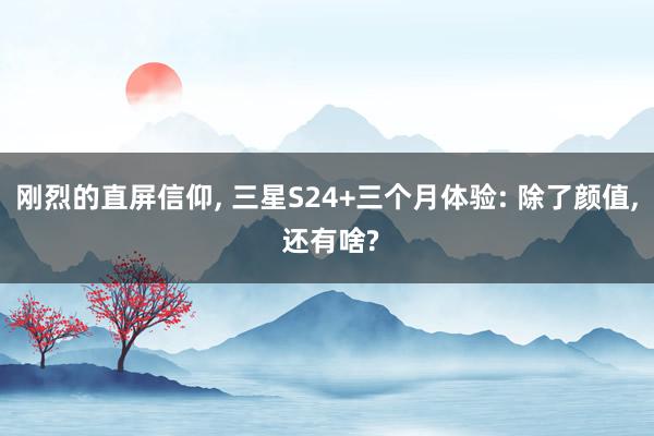 刚烈的直屏信仰, 三星S24+三个月体验: 除了颜值, 还有啥?